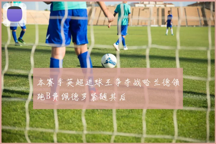 本赛季英超进球王争夺战哈兰德领跑B费佩德罗紧随其后