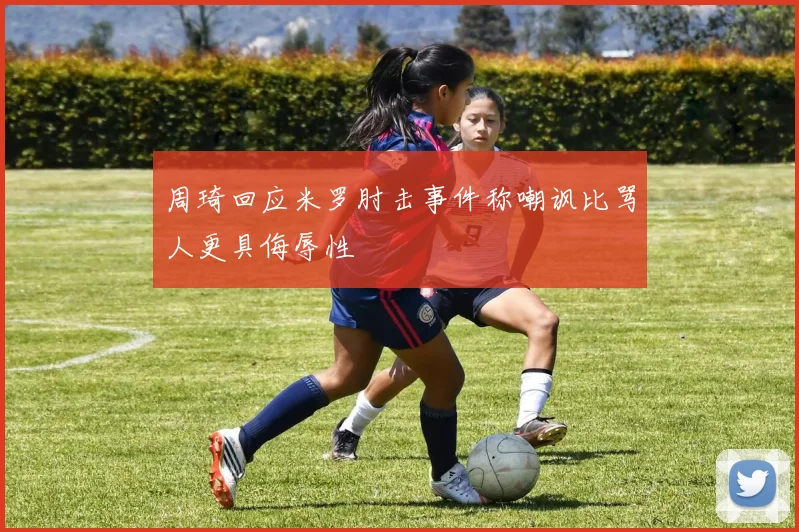 周琦回应米罗肘击事件称嘲讽比骂人更具侮辱性